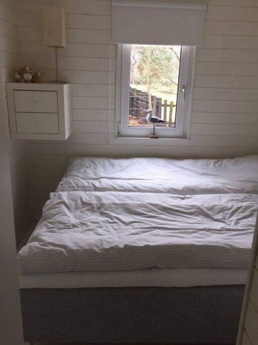 Charmig Stuga, Mellbystrand. المظهر الخارجي الصورة